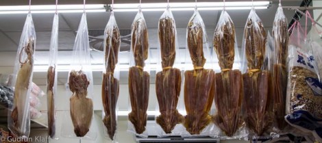 Not squirrels - octopussies