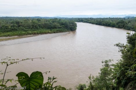 Rio Napo