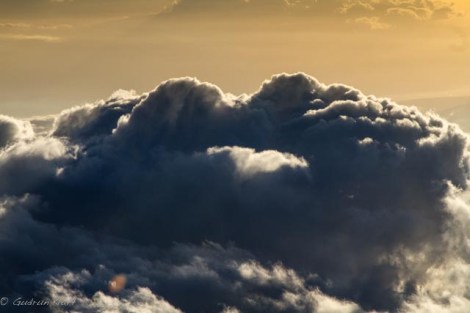 Wer sieht das fliegende Herz?